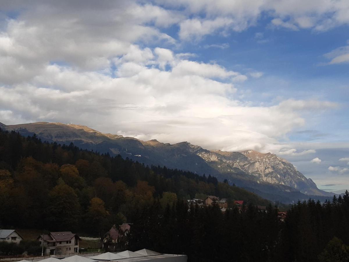 Bucegi View 39 - Colina Marei Apartment Sinaia Bagian luar foto