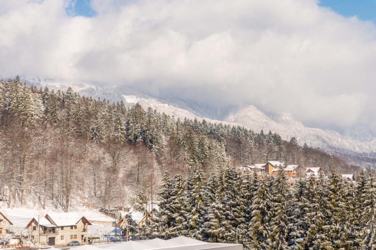 Bucegi View 39 - Colina Marei Apartment Sinaia Bagian luar foto